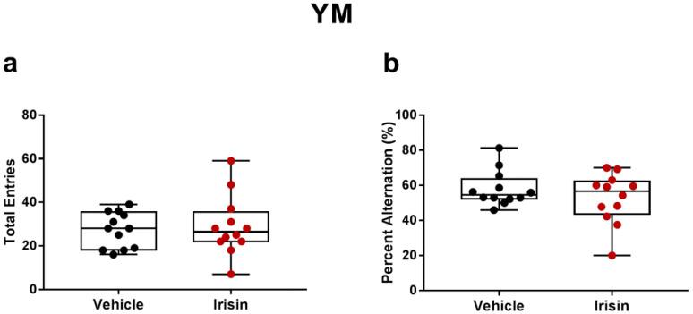 https://cdn.ncbi.nlm.nih.gov/pmc/blobs/730d/10095443/224b1a7071a4/ijms-24-06715-g004.jpg