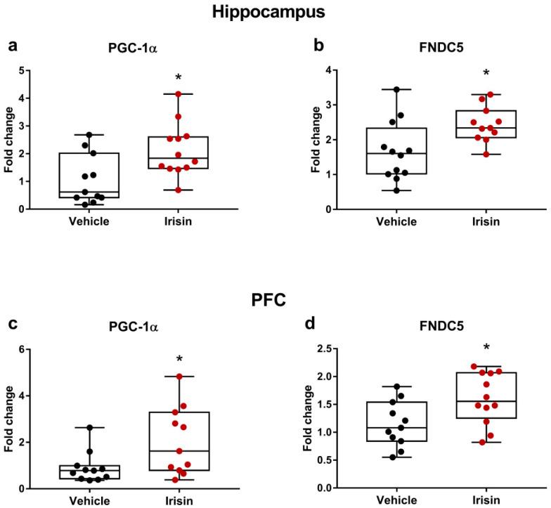 https://cdn.ncbi.nlm.nih.gov/pmc/blobs/730d/10095443/3b6dfa3e1ff6/ijms-24-06715-g006.jpg