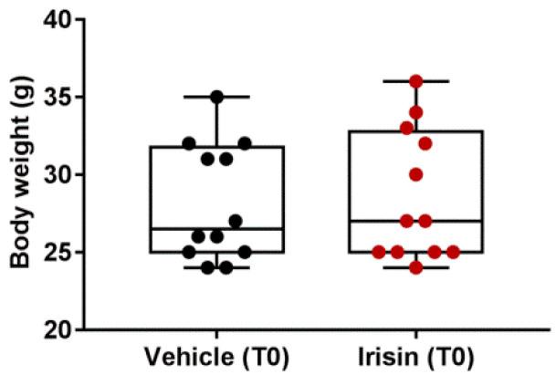 https://cdn.ncbi.nlm.nih.gov/pmc/blobs/730d/10095443/ab807e7ba7ee/ijms-24-06715-g007.jpg