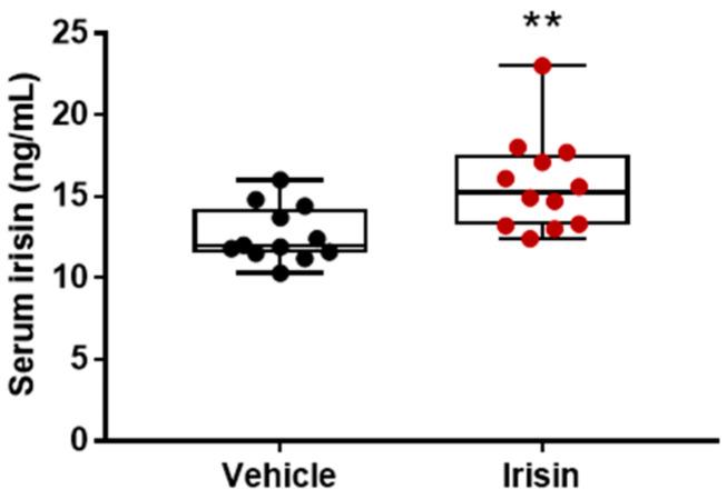 https://cdn.ncbi.nlm.nih.gov/pmc/blobs/730d/10095443/e737ace1ffe2/ijms-24-06715-g005.jpg