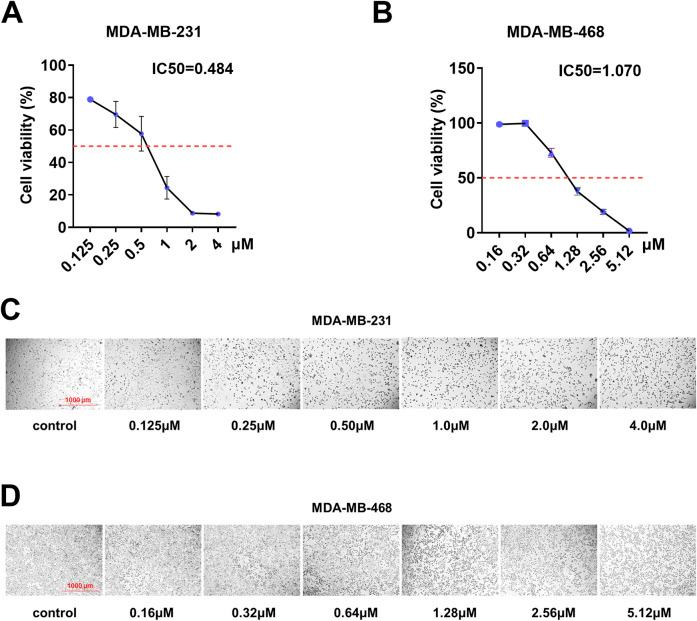 https://cdn.ncbi.nlm.nih.gov/pmc/blobs/730f/12425992/c6735a91466d/fphar-16-1603093-g001.jpg