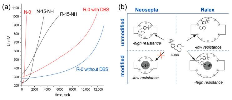 https://cdn.ncbi.nlm.nih.gov/pmc/blobs/7310/10386577/dfc23cfc9372/membranes-13-00624-g010.jpg