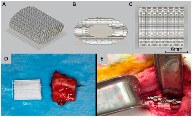 https://cdn.ncbi.nlm.nih.gov/pmc/blobs/7311/11506466/3a96591f7d30/biomimetics-09-00636-g006.jpg