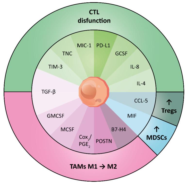 https://cdn.ncbi.nlm.nih.gov/pmc/blobs/7311/8469208/9fdbe5f46a05/cells-10-02361-g003.jpg
