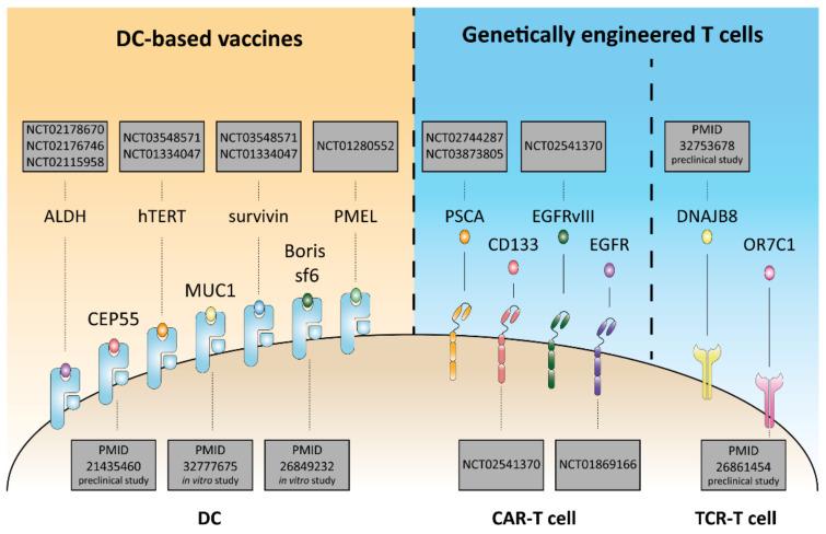https://cdn.ncbi.nlm.nih.gov/pmc/blobs/7311/8469208/b6ccfdc69741/cells-10-02361-g002.jpg