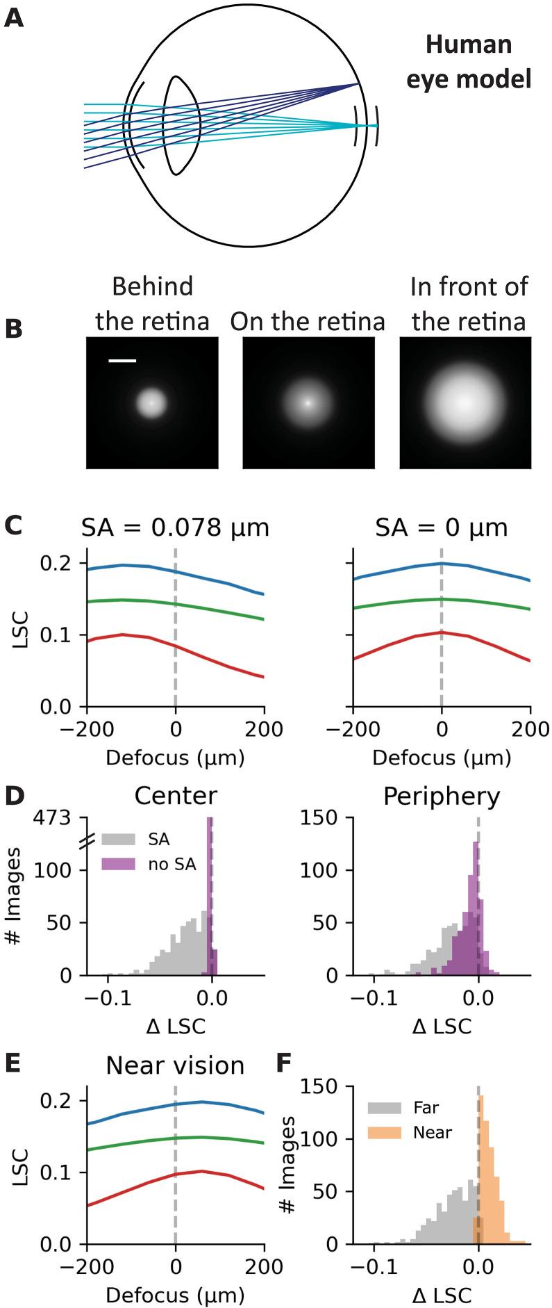 https://cdn.ncbi.nlm.nih.gov/pmc/blobs/7312/12333688/8d3a461a1934/sciadv.adq6320-f6.jpg