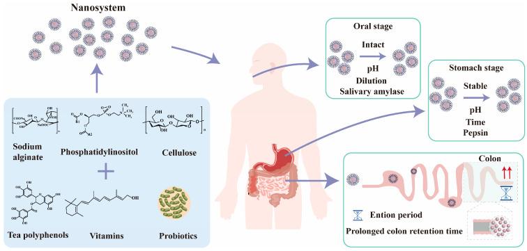 https://cdn.ncbi.nlm.nih.gov/pmc/blobs/7312/12348174/b10454be923d/nutrients-17-02443-g002.jpg