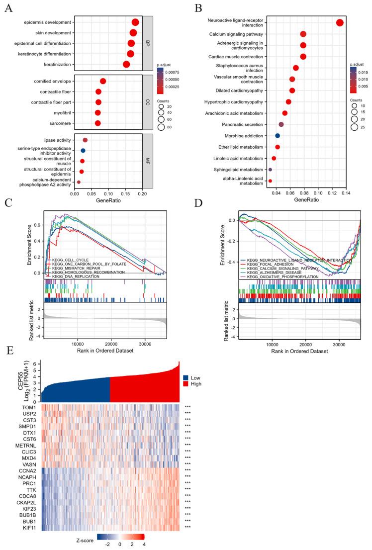 https://cdn.ncbi.nlm.nih.gov/pmc/blobs/7314/12080573/0e399b9f319e/ijmsv22p2446g003.jpg
