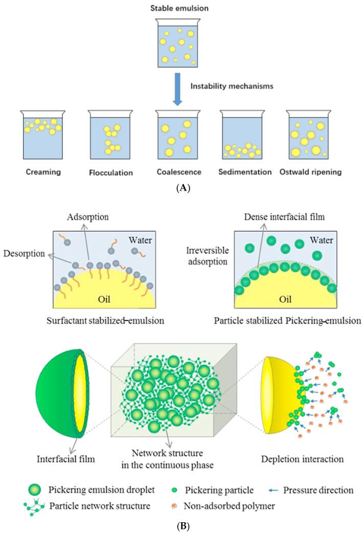 https://cdn.ncbi.nlm.nih.gov/pmc/blobs/7315/11768238/14bba308287e/polymers-17-00144-g004.jpg