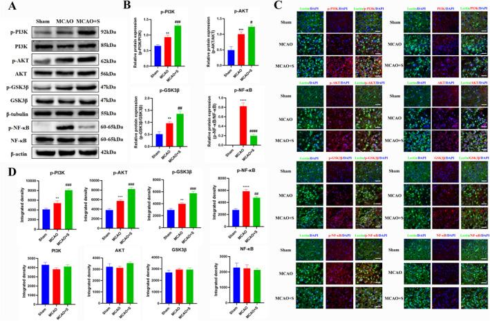 https://cdn.ncbi.nlm.nih.gov/pmc/blobs/7317/11208122/159b5bef3b4a/CCS3-18-e12023-g010.jpg