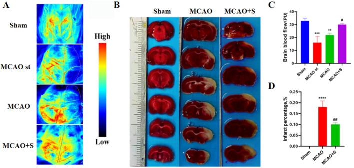 https://cdn.ncbi.nlm.nih.gov/pmc/blobs/7317/11208122/d352c078be0e/CCS3-18-e12023-g003.jpg