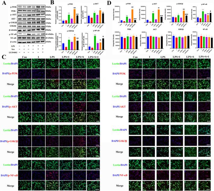 https://cdn.ncbi.nlm.nih.gov/pmc/blobs/7317/11208122/fb11abbf3fa9/CCS3-18-e12023-g009.jpg