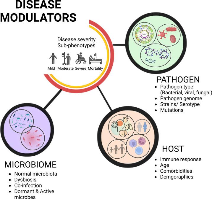 https://cdn.ncbi.nlm.nih.gov/pmc/blobs/7317/9755851/e1a074f6a6e1/fimmu-13-1056036-g001.jpg