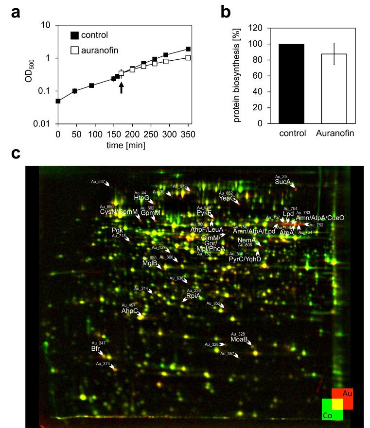 https://cdn.ncbi.nlm.nih.gov/pmc/blobs/7318/11537011/0cb5aabd71fc/spectrum.00138-24.f001.jpg