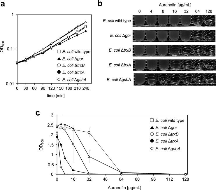 https://cdn.ncbi.nlm.nih.gov/pmc/blobs/7318/11537011/446efa36de5b/spectrum.00138-24.f003.jpg