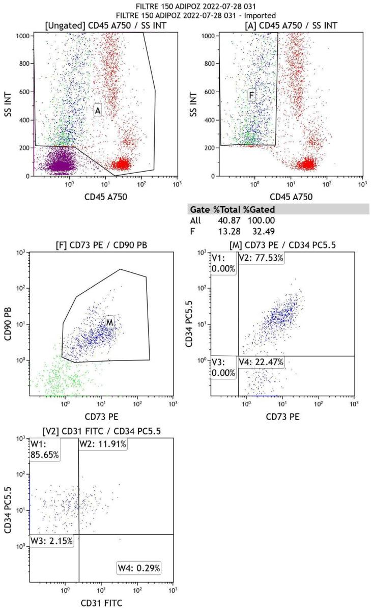 https://cdn.ncbi.nlm.nih.gov/pmc/blobs/7319/9658499/c914716549a7/ijms-23-13517-g004.jpg