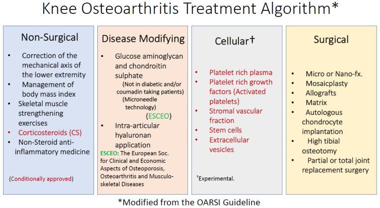 https://cdn.ncbi.nlm.nih.gov/pmc/blobs/7319/9658499/e50b2b9ccb57/ijms-23-13517-g002.jpg