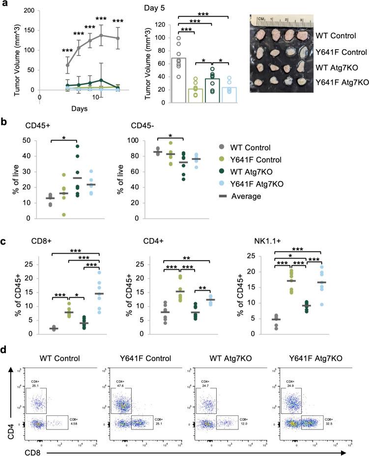 https://cdn.ncbi.nlm.nih.gov/pmc/blobs/731c/11377374/bd5bd888ad45/262_2024_3804_Fig3_HTML.jpg