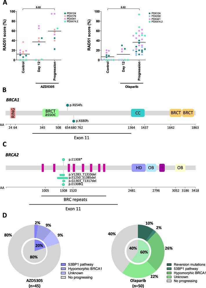 https://cdn.ncbi.nlm.nih.gov/pmc/blobs/731e/11348616/a5bd9e50a881/13073_2024_1370_Fig3_HTML.jpg