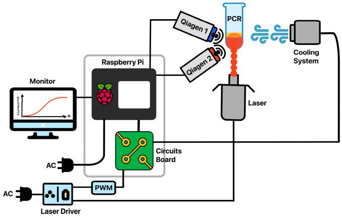 https://cdn.ncbi.nlm.nih.gov/pmc/blobs/731e/12026111/431af7ce438a/biosensors-15-00258-g001.jpg