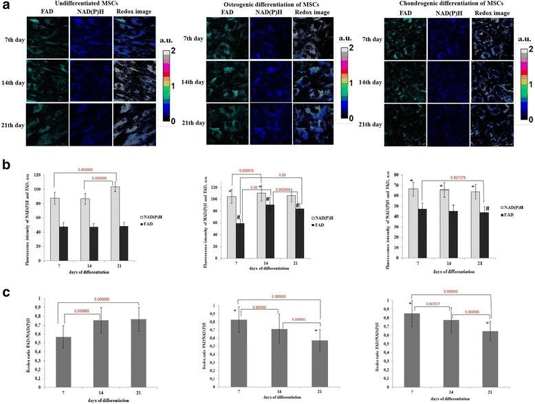 https://cdn.ncbi.nlm.nih.gov/pmc/blobs/731e/5273806/292149af2aad/13287_2017_484_Fig3_HTML.jpg
