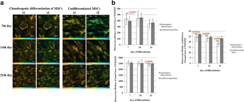 https://cdn.ncbi.nlm.nih.gov/pmc/blobs/731e/5273806/8089e25ef365/13287_2017_484_Fig5_HTML.jpg