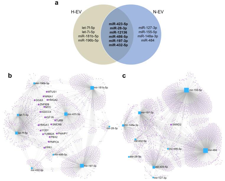 https://cdn.ncbi.nlm.nih.gov/pmc/blobs/731e/9456085/326b3726555e/ijms-23-10066-g004.jpg