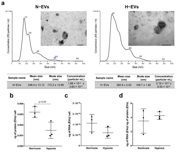 https://cdn.ncbi.nlm.nih.gov/pmc/blobs/731e/9456085/f501bcd69ba8/ijms-23-10066-g001.jpg
