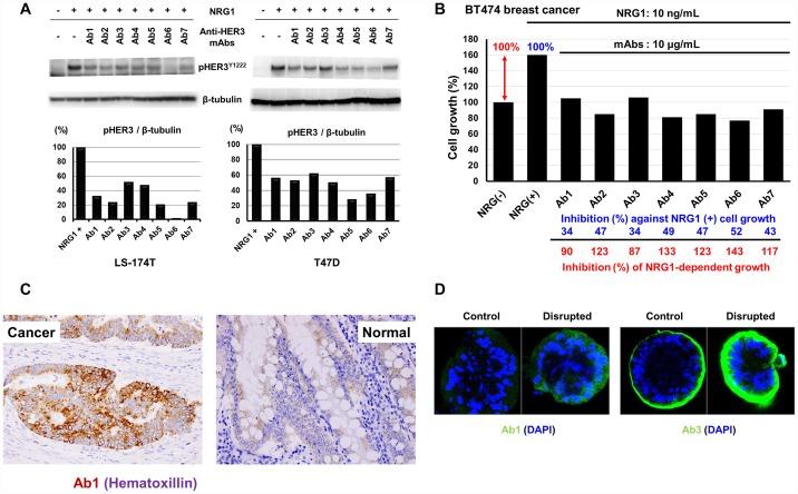 https://cdn.ncbi.nlm.nih.gov/pmc/blobs/7321/6967776/0846b14f6639/oncotarget-11-31-g006.jpg