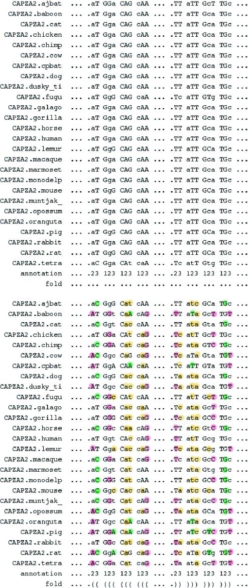 https://cdn.ncbi.nlm.nih.gov/pmc/blobs/7324/1278941/badfc918e2b1/gki923f3.jpg