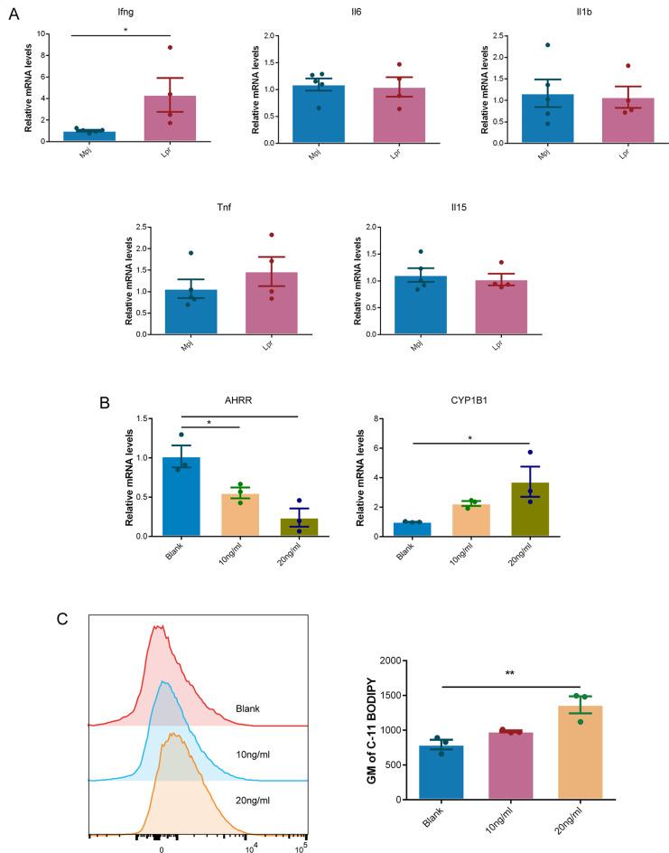 https://cdn.ncbi.nlm.nih.gov/pmc/blobs/7325/11773722/f10666e3ca88/12967_2025_6147_Fig8_HTML.jpg