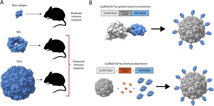 https://cdn.ncbi.nlm.nih.gov/pmc/blobs/7325/9533550/f032573731c0/12934_2022_1929_Fig1_HTML.jpg