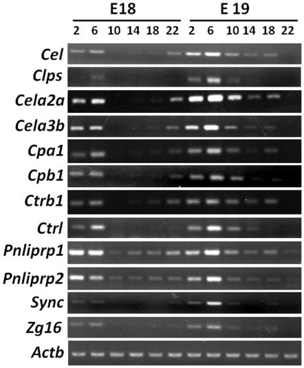 https://cdn.ncbi.nlm.nih.gov/pmc/blobs/7326/3285613/86b49984b684/pone.0030781.g004.jpg