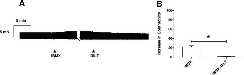 https://cdn.ncbi.nlm.nih.gov/pmc/blobs/7326/5376116/724091badf8f/peerj-05-3113-g004.jpg