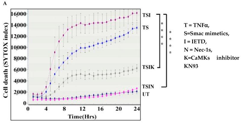 https://cdn.ncbi.nlm.nih.gov/pmc/blobs/7329/11050252/8303e69111e1/ijms-25-04428-g001a.jpg