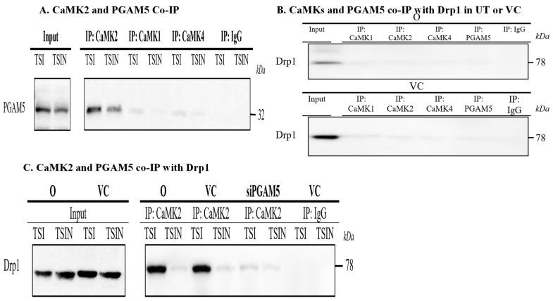 https://cdn.ncbi.nlm.nih.gov/pmc/blobs/7329/11050252/9844d8cbb47b/ijms-25-04428-g005a.jpg