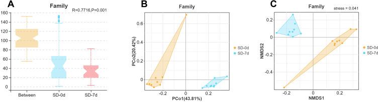 https://cdn.ncbi.nlm.nih.gov/pmc/blobs/7329/11380879/0d6e4ca32fe5/NSS-16-1313-g0005.jpg