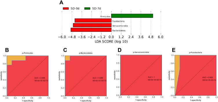 https://cdn.ncbi.nlm.nih.gov/pmc/blobs/7329/11380879/bf0e49149605/NSS-16-1313-g0008.jpg