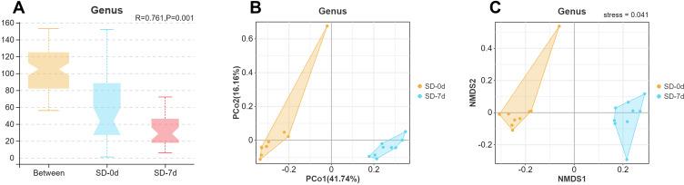 https://cdn.ncbi.nlm.nih.gov/pmc/blobs/7329/11380879/d89b3099a93a/NSS-16-1313-g0006.jpg
