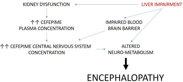https://cdn.ncbi.nlm.nih.gov/pmc/blobs/7329/8590204/b9dbbc5b390a/cureus-0013-00000018767-i04.jpg