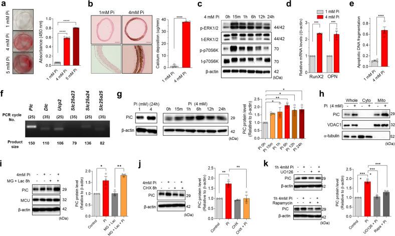 https://cdn.ncbi.nlm.nih.gov/pmc/blobs/732a/10073177/a9253fa41667/12276_2023_950_Fig1_HTML.jpg