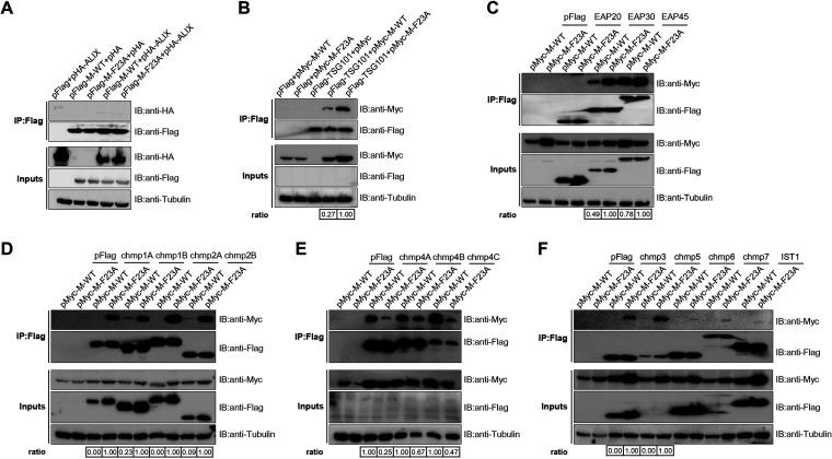 https://cdn.ncbi.nlm.nih.gov/pmc/blobs/732a/9927168/6c92d2adfceb/spectrum.04116-22-f005.jpg