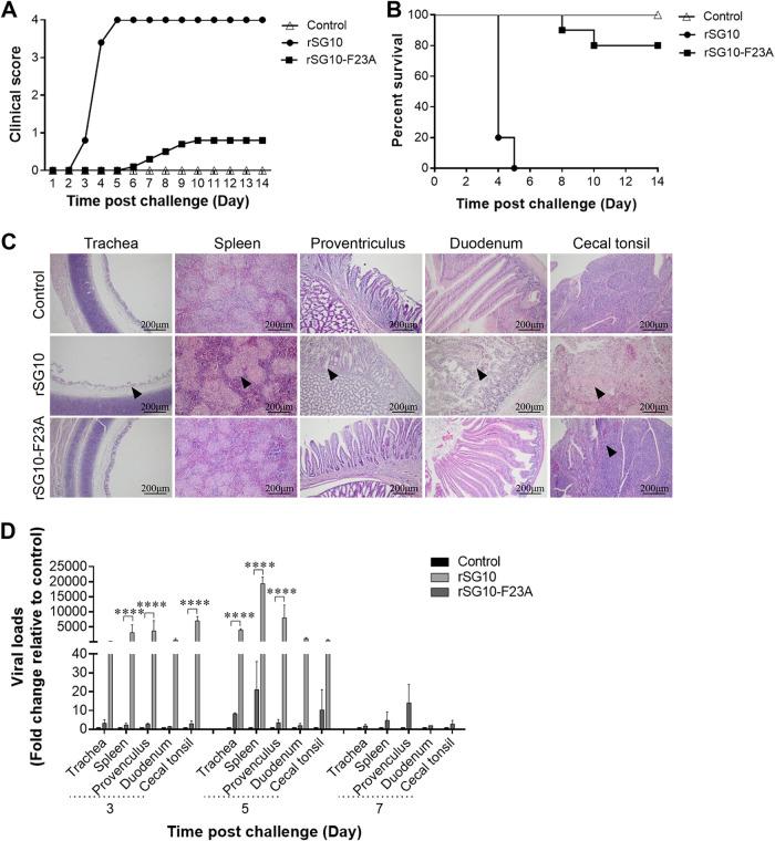 https://cdn.ncbi.nlm.nih.gov/pmc/blobs/732a/9927168/8e105bc29913/spectrum.04116-22-f002.jpg