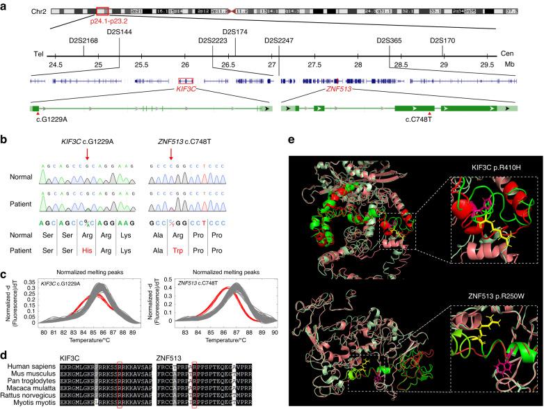 https://cdn.ncbi.nlm.nih.gov/pmc/blobs/732b/10522663/0cd2e8bf092c/41368_2023_244_Fig2_HTML.jpg