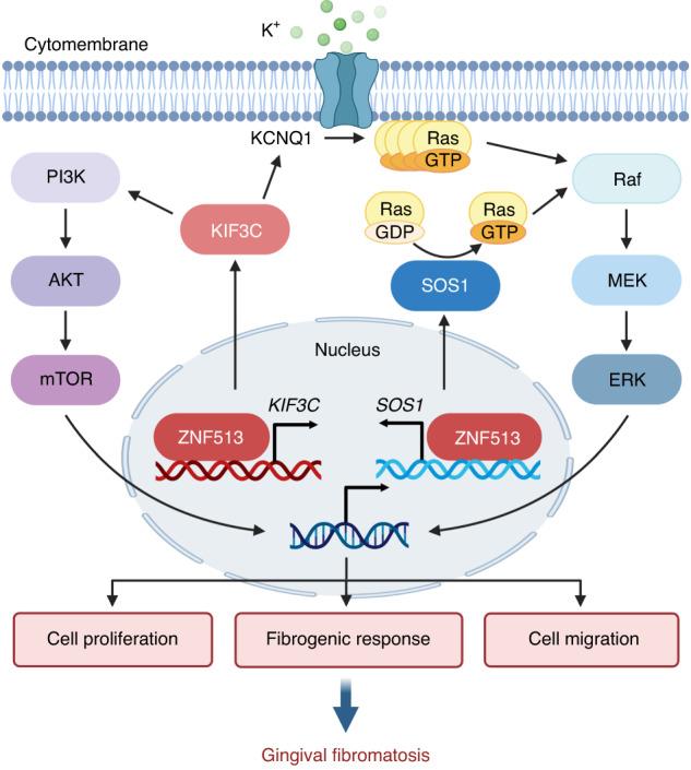 https://cdn.ncbi.nlm.nih.gov/pmc/blobs/732b/10522663/216c67ca2397/41368_2023_244_Fig8_HTML.jpg