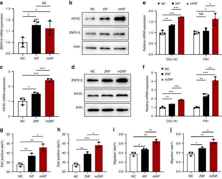 https://cdn.ncbi.nlm.nih.gov/pmc/blobs/732b/10522663/763a66463fac/41368_2023_244_Fig4_HTML.jpg