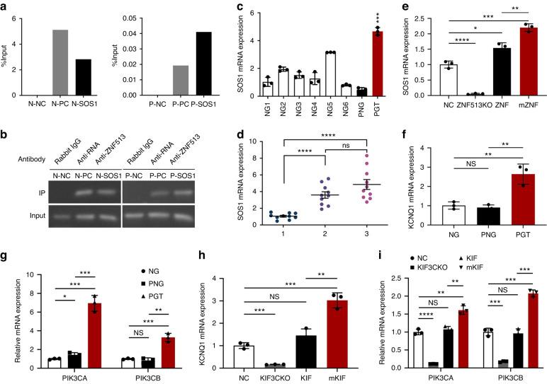 https://cdn.ncbi.nlm.nih.gov/pmc/blobs/732b/10522663/c0cf19817d21/41368_2023_244_Fig7_HTML.jpg