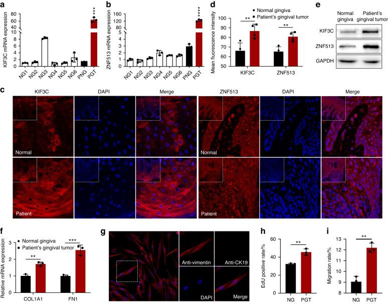 https://cdn.ncbi.nlm.nih.gov/pmc/blobs/732b/10522663/ce3eb5571ff5/41368_2023_244_Fig3_HTML.jpg