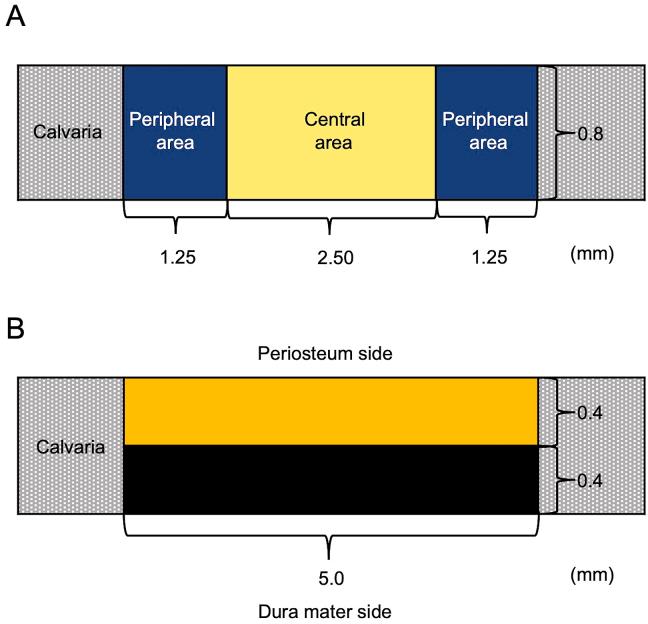 https://cdn.ncbi.nlm.nih.gov/pmc/blobs/732c/10570703/588a8699931f/gr2.jpg