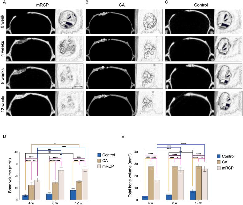 https://cdn.ncbi.nlm.nih.gov/pmc/blobs/732c/10570703/ed34e445b465/gr3.jpg